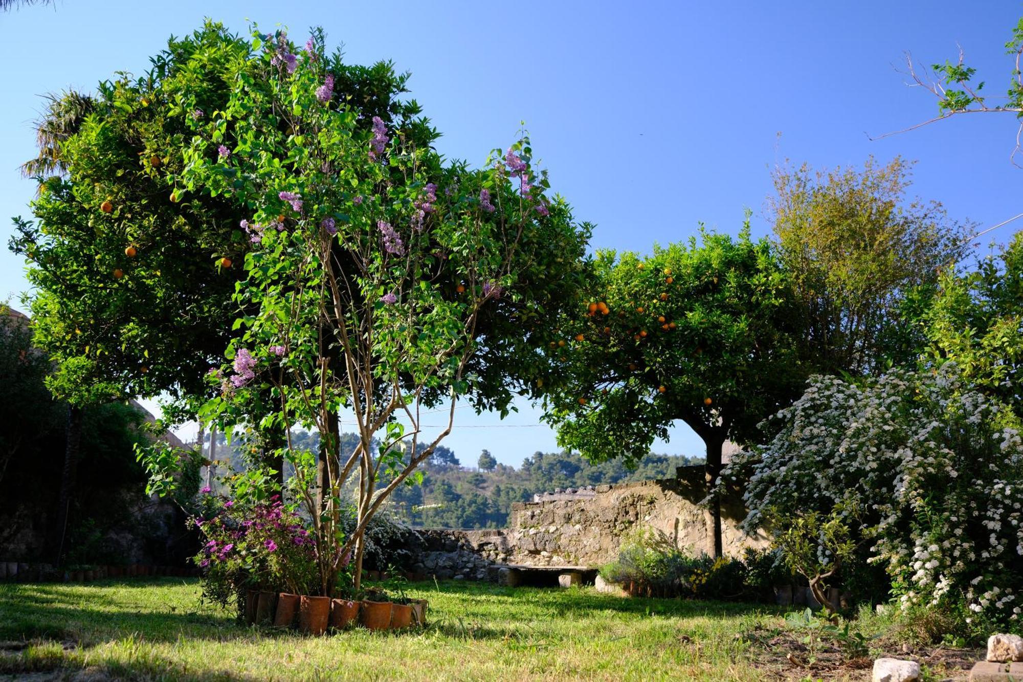 Conte Spencer Bed & Breakfast Caserta Vecchia Luaran gambar