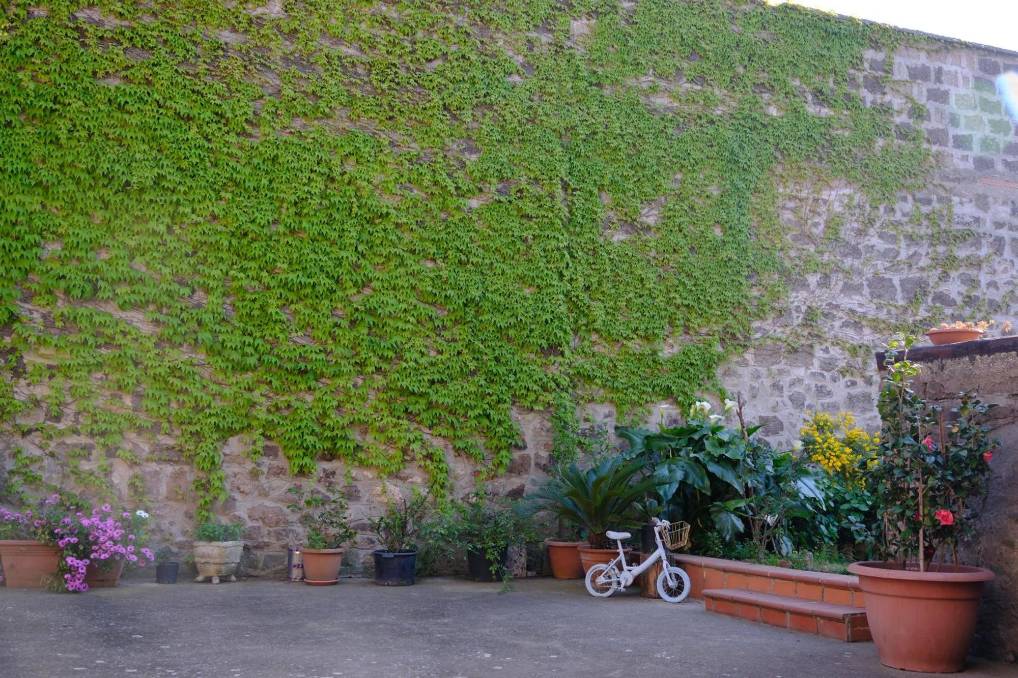 Conte Spencer Bed & Breakfast Caserta Vecchia Luaran gambar